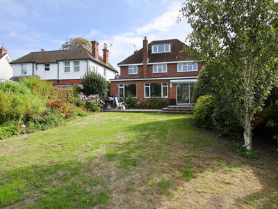 Picture 26